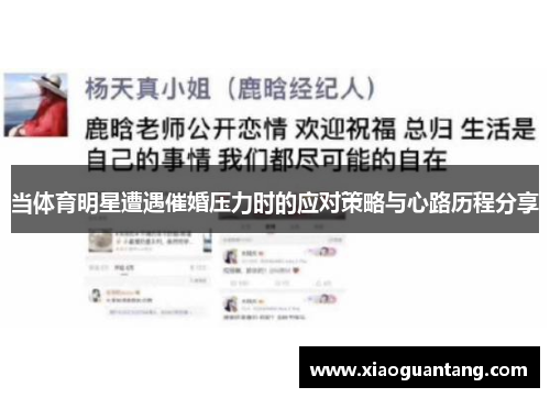 当体育明星遭遇催婚压力时的应对策略与心路历程分享