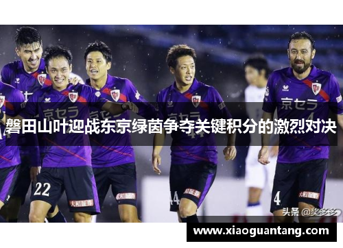 磐田山叶迎战东京绿茵争夺关键积分的激烈对决
