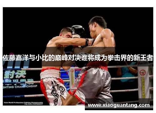 佐藤嘉洋与小比的巅峰对决谁将成为拳击界的新王者